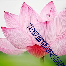 花椒直播餵奶回放在哪裏