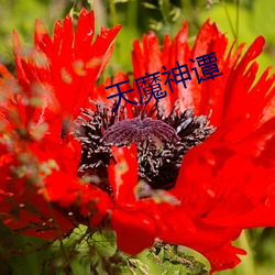 天魔神谭