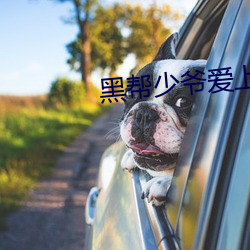 黑帮少爷爱(愛)上我(我)第11集免费