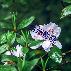 台州影院