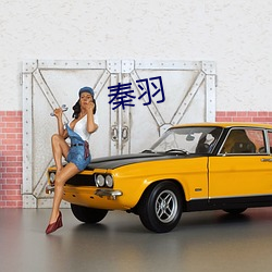 秦羽