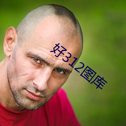 好312图库(庫)