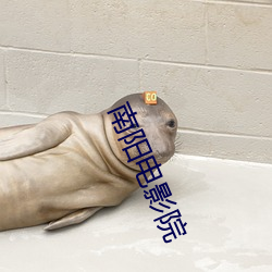南陽電影院