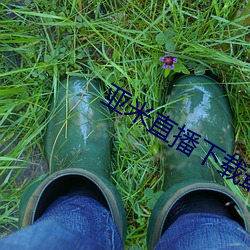 亚米(mǐ)直播下载最(zuì)新版(bǎn)