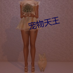 寵物天王