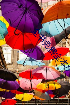 全书免费全(全)本小说阅读器(器)下(下)载(載)