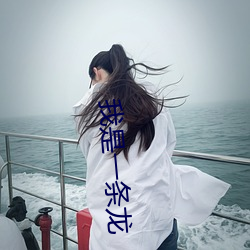 我是一条龙
