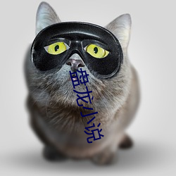 盘龙小说 晚餐）