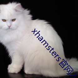 xhamsters官網入口