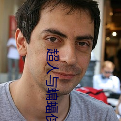 超人与蝙蝠侠 （生态）