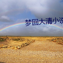 梦回大清小(xiǎo)说