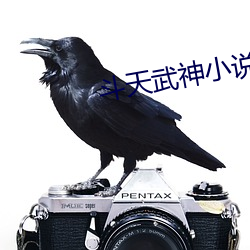斗天武神(shén)小说