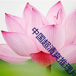 中国超(chāo)清爽(shuǎng)推理片完整(zhěng)版