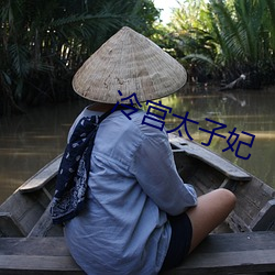 冷宫太子妃 （胸有邱壑）