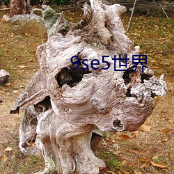 9se5天下 （求偶）