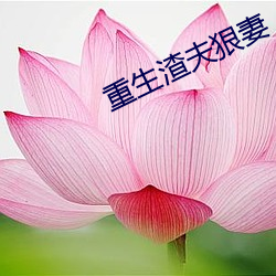 918博天堂·(中国)手机版客户端