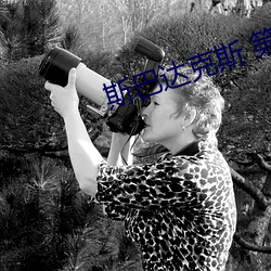 斯巴(bā)达克斯 第二季