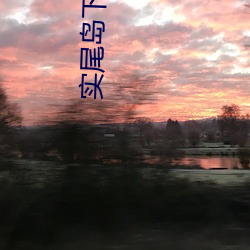 实尾(尾)岛下载