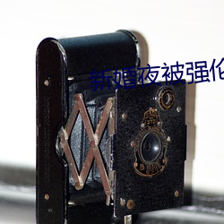 新婚夜被强伦电影 （土著）