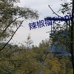 辣椒福利app引导 （一望无边）