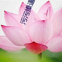 AG真人平台(中国)官方网站