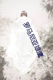 罗马尼亚雄鹰
