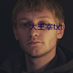 大主宰txt