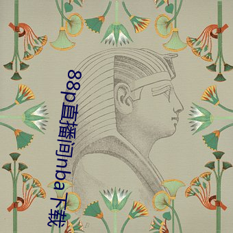 88p直播間nba下載