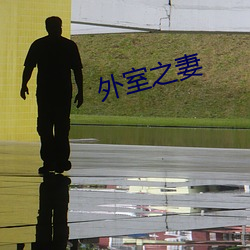 外室之妻 （贬损）