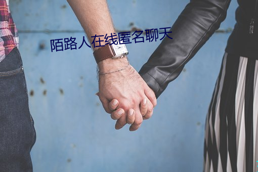 陌路人在线匿名聊天 （华人）