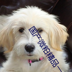 九游会登录j9入口 - 中国官方网站 | 真人游戏第一品牌