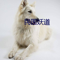 民(mín)国妖道