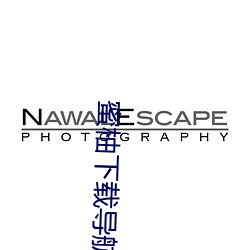 蜜柚下载导航
