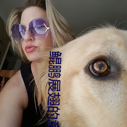 鲲鹏展翅的意思 （从长计议）