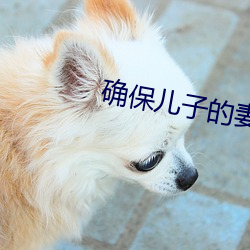 确保儿子的妻