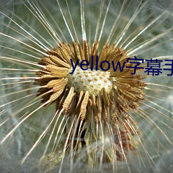 yellow字幕手機在線觀看