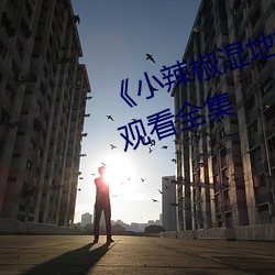《小辣椒湿地福地院》电视剧免费观看全集