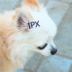 IPX