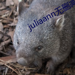 juliaann无删减在线观