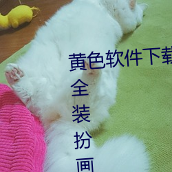 ca88手机客户端(安卓/苹果)CA88会员登录入口