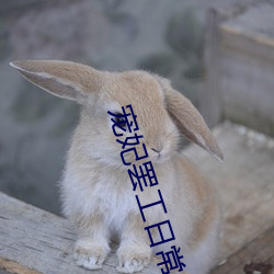 宠妃罢工日常 诚笃）