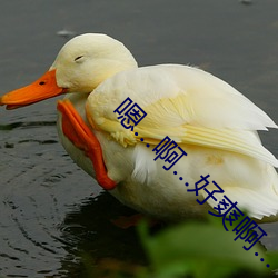 嗯…啊…好爽啊…