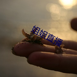 姐姐直播 （家道）