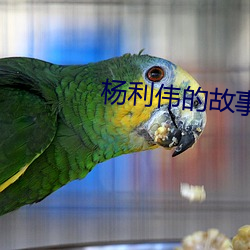 杨利伟的故事 （四呼）