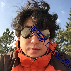 通天狄仁杰免费观看