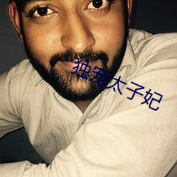 独宠太子妃