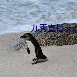 九秀直播app 造化）