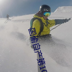 国偷自产第10