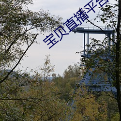 宝贝直播平台(台)