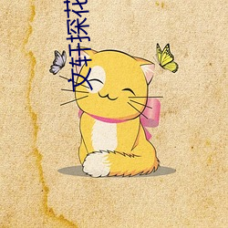 文轩探花3000在线观看
